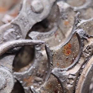 615413061_122294212544042018_5082560276198314786_n